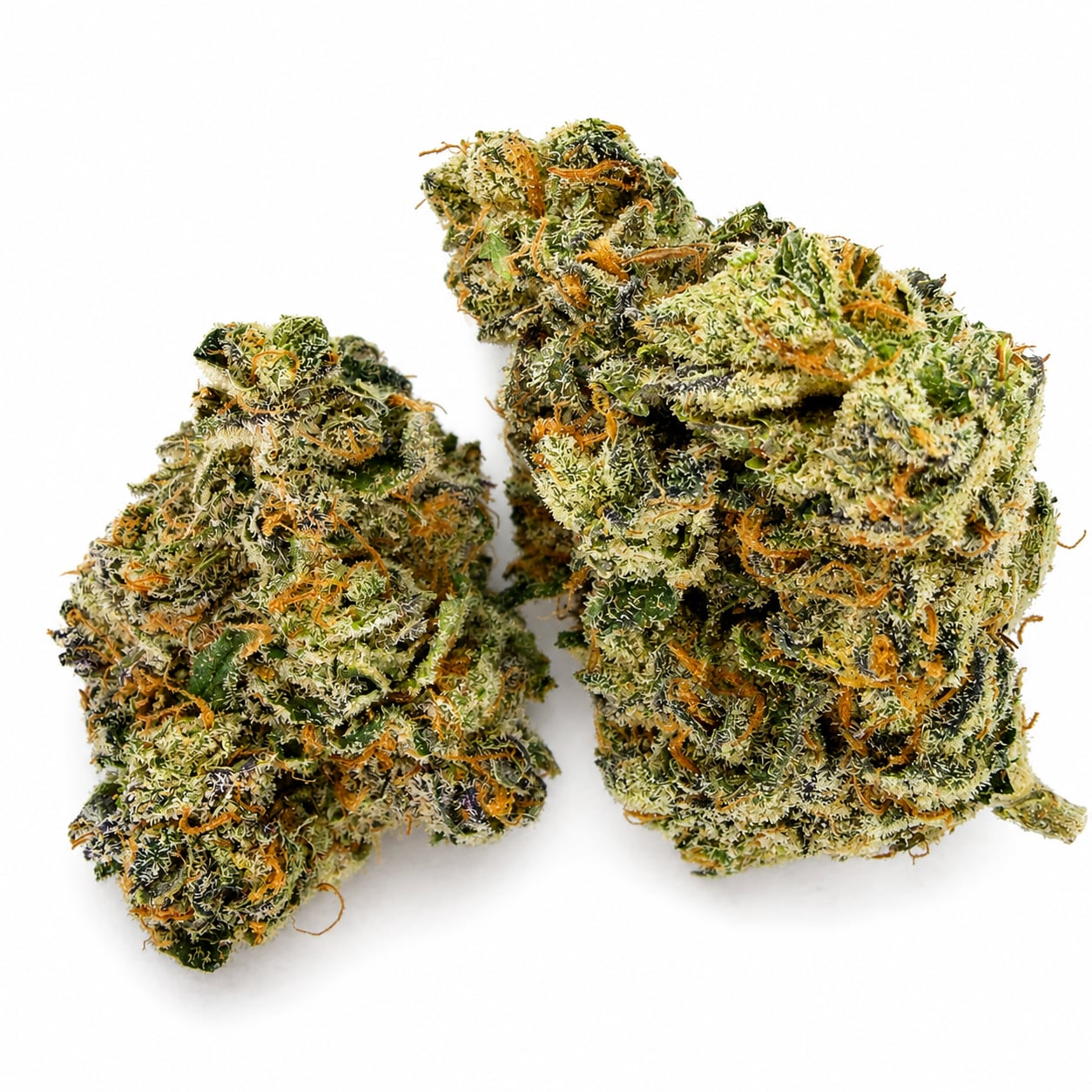 CANDY CARTEL #11